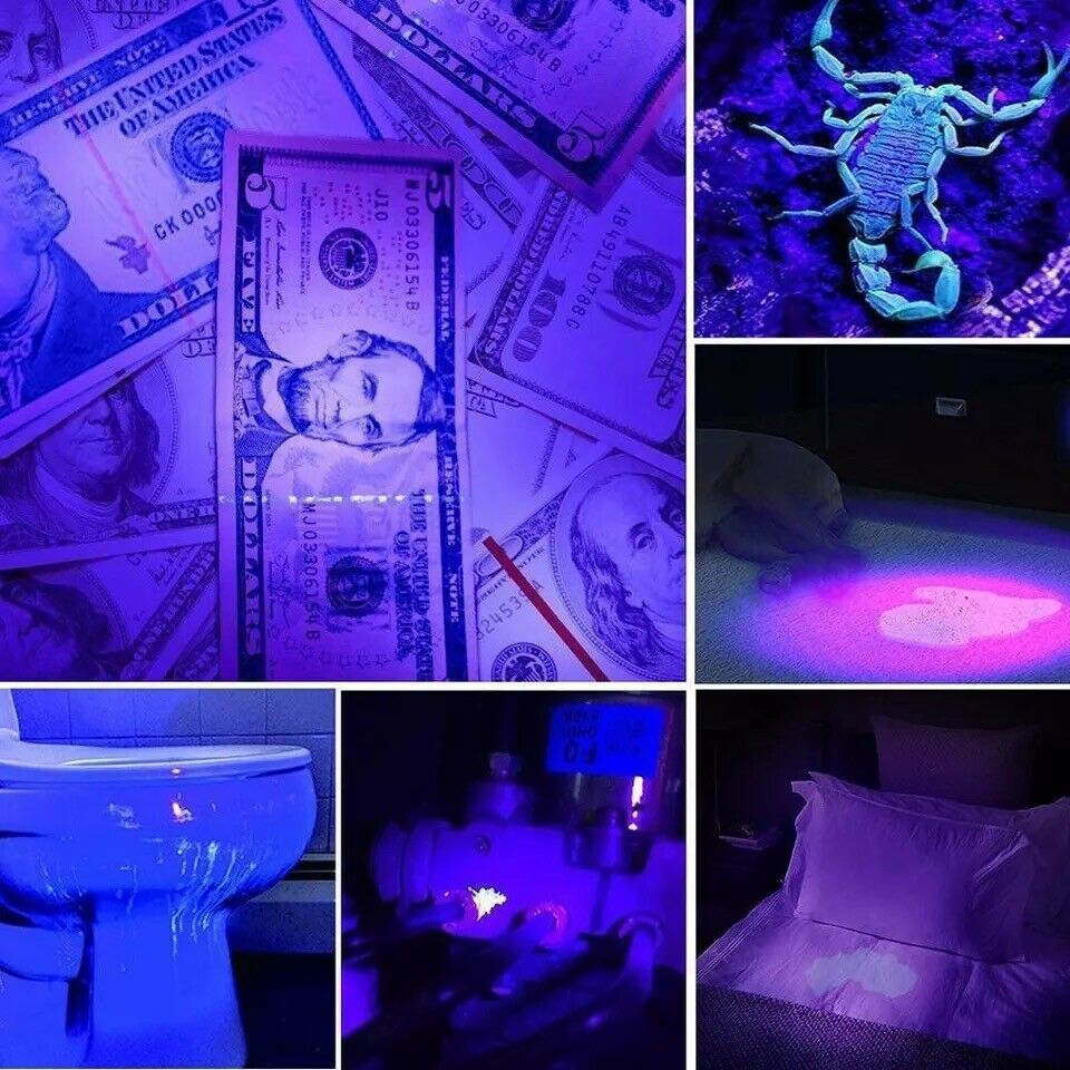 UV-LED-Taschenlampe zum Fälschungsdetektor